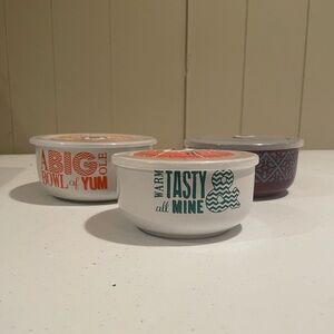 Three Stoneware Oven Safe Bowls